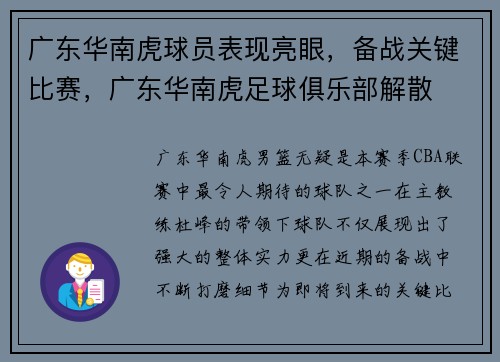 广东华南虎球员表现亮眼，备战关键比赛，广东华南虎足球俱乐部解散